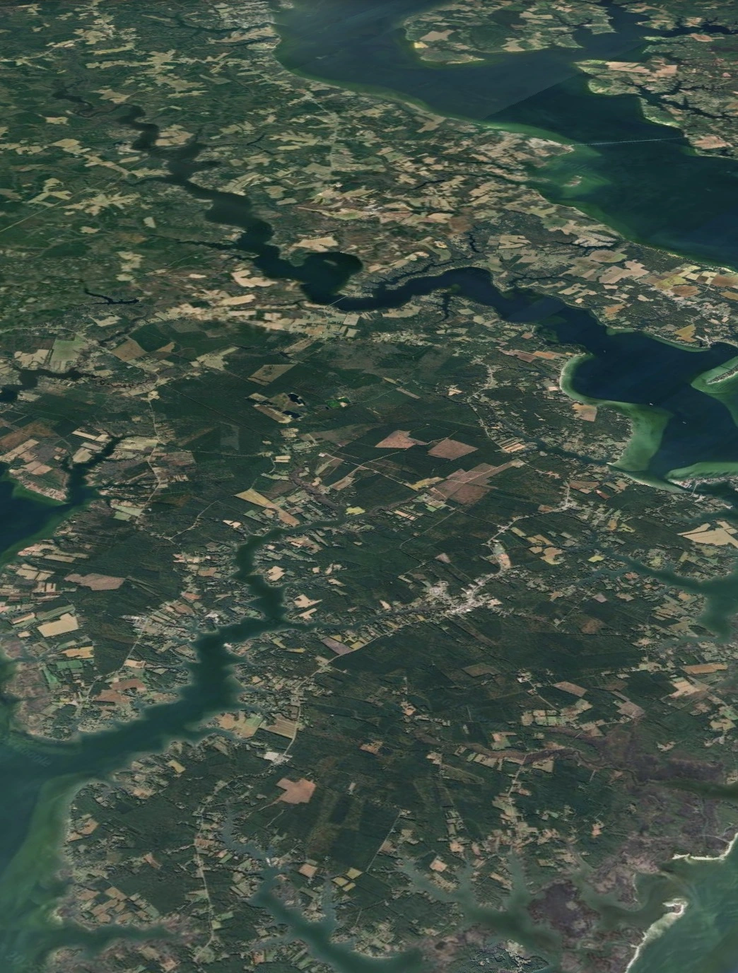 Photo of co-ops general area